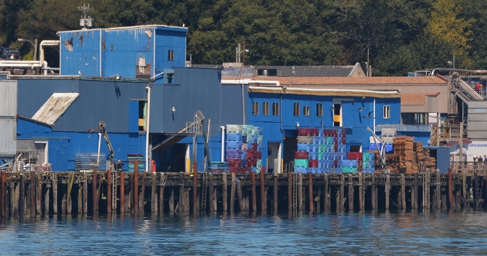 bayfront businesses